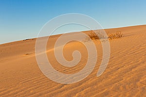 Divided photography on two part by sand and sky. Lands and panorama background. Sustainable ecosystem. Yellow dunes at