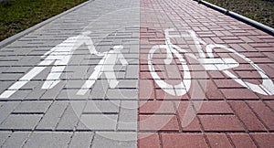 Divided sidewalk photo