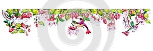 Divider with fuchsia flowers and hummingbird bird. Decorative frame from tropical design. Ornament of blossom plants and