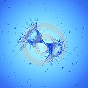 A dividing cancer cell photo