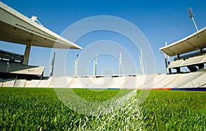 Dividing Line on Green Grass photo