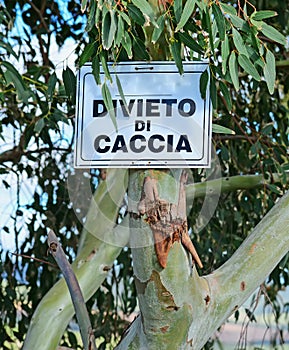 Divieto di caccia photo