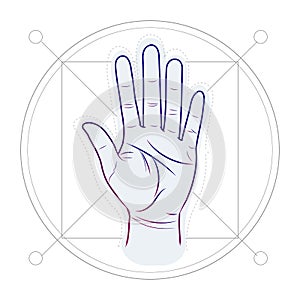 Divination by lines on a hand. Palm reading or palmistry