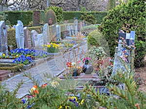 Divine colorful graveyard (3)