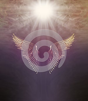 Divine Healing Light Angel Wings Background