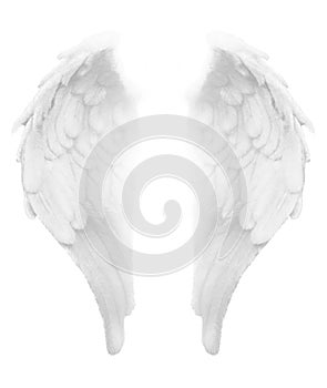 Divine Light White Angel Wings