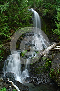 Divine waterfall in a forest