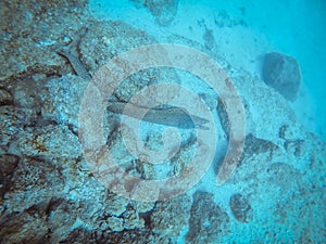 Diving at Arraial do Cabo, Rio de Janeiro, Brazil