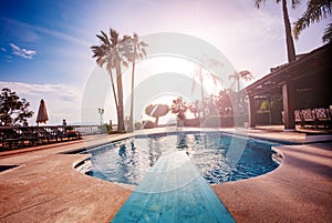 Diving board to swimming pool and sunset light through palm tree