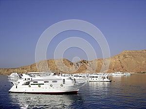 Scuba diving tour boats anchored at Red Sea