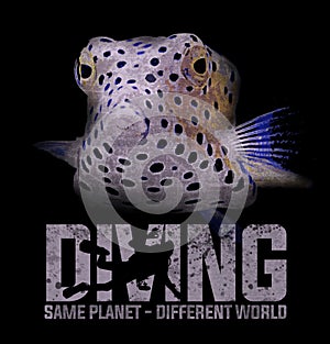 Diving diver scuba box fish - T-shirt design