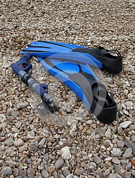 Diving equipment (fins, harpoon) photo