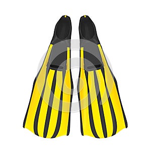 Diving Fins Isolated