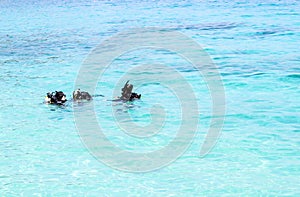 Diving lesson in sea