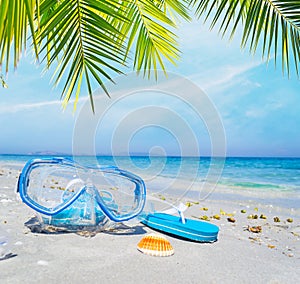Diving mask and flip flops under a palm tree