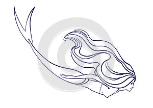 Diving mermaid with beautiful flowing hair outline. Vector cartoon magic young girl undersea illustration, fantastic creature