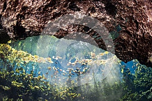 Diving in Mexican Cenote underwater cave
