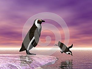 Diving Penguin