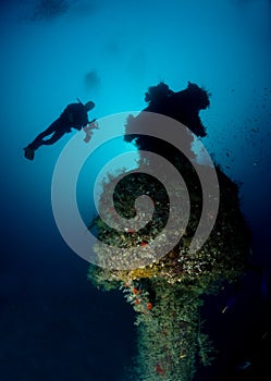 Diving, Rosalie Moller wreck in the Red Sea photo