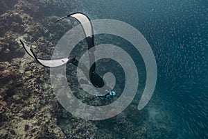 Diving with school of fish