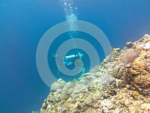 diving Scientific photo