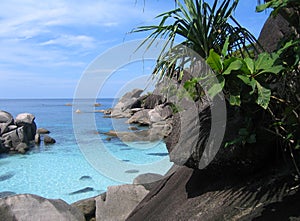 Diving site on the Similan Islands