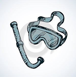 Diving snorkel and goggles. Vector drawing