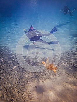 Diving with turtles Curacao views