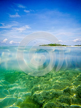 Diving under into the sea