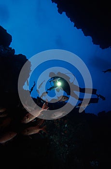 Diving Under Water