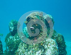 Diving at the underwater museum cancun