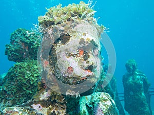 Diving at the underwater museum cancun