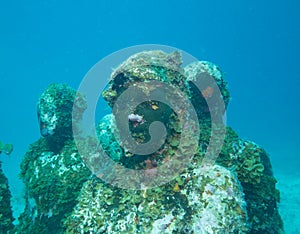 Diving at the underwater museum cancun photo