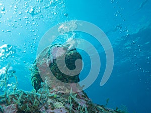 Diving at the underwater museum cancun photo