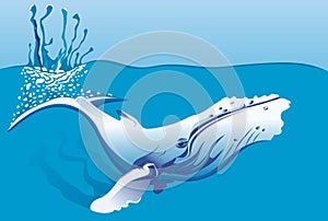 Diving whale in the ocean