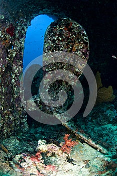 Diving, wreck in the Red Sea