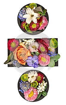 Division sign made of real natural flowers and leaves on transparent background.