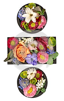 Division sign made of real natural flowers and leaves on white background.