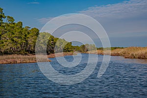 The Divjake-Karavasta National Park - view at the Lagoon of Karavasta, Albanian Adriatic Sea Coast