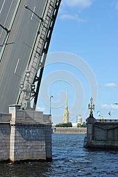 Divorced leaf Trinity bridge and Peter and Paul fortress in St. Petersburg