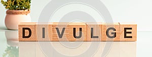 DIVULGE motivation text on wooden blocks business concept white background. Front view concepts, flower in the background photo