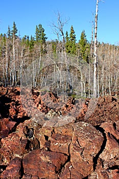 Dixie National Forest Lava Field photo