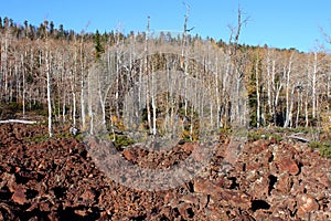 Dixie National Forest Lava Field