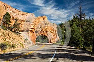 Dixie National Forest photo
