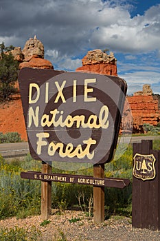Dixie National Forest photo