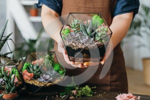 Diy florarium creative gift delivery succulents