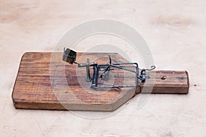 DIY homemade rat trap or mouse trap