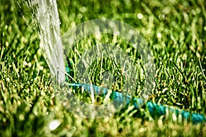 DIY lawn sprinkler working in a grass