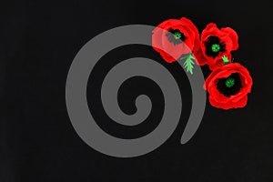 Diy paper red poppy Anzac Day, Remembrance, Remember, Memorial day crepe paper on black background