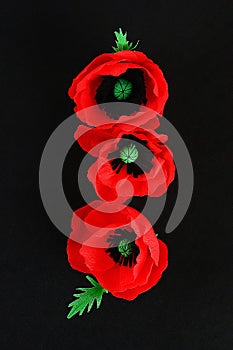 Diy paper red poppy Anzac Day, Remembrance, Remember, Memorial day crepe paper on black background